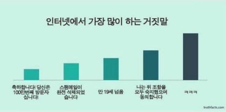 인터넷 거짓말