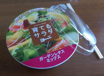일본 샐러드 2