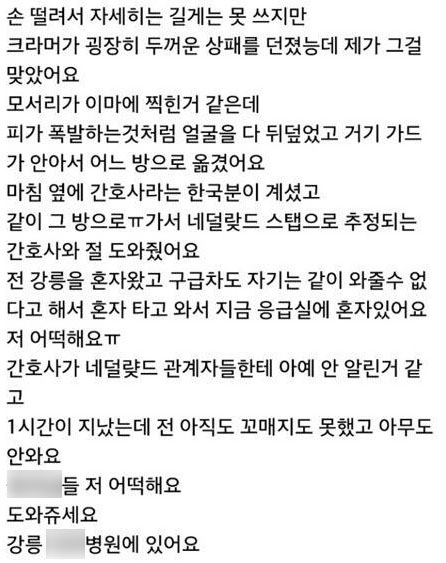 한국인 부상